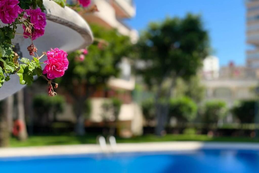 Encantador Y Coqueto Loft A 8 Min. De La Playa. อาลิกันเต ภายนอก รูปภาพ